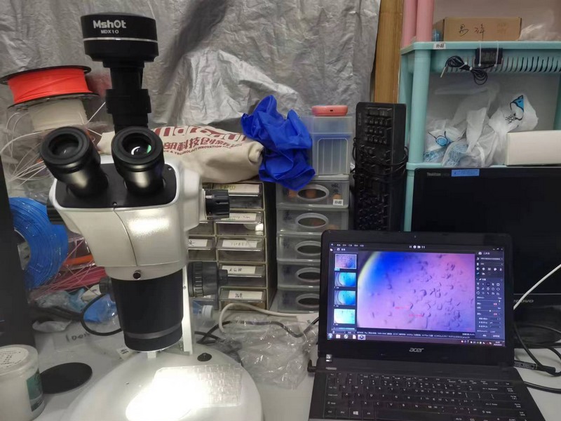 MZ101+MDX10拍摄蛋白晶体图5_cr.jpg MZ101+MDX10拍摄蛋白晶体图5_cr.jpg