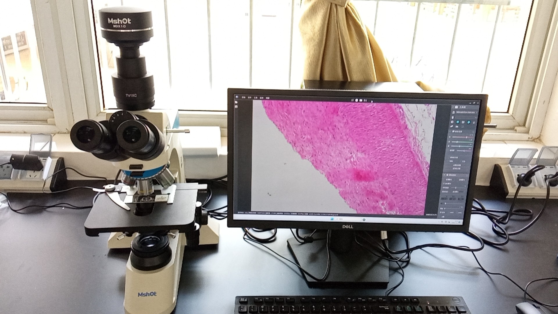 图片2.jpg 图片2.jpg