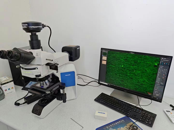 MJ43+MSX2-4.jpg MJ43+MSX2-4.jpg