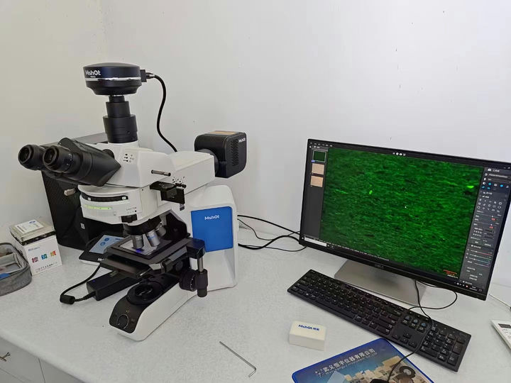 MJ43+MSX2-1.jpg MJ43+MSX2-1.jpg