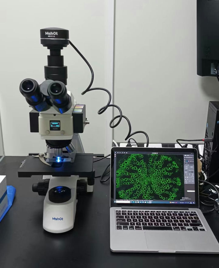 微信图片_202309022312261.jpg 微信图片_202309022312261.jpg