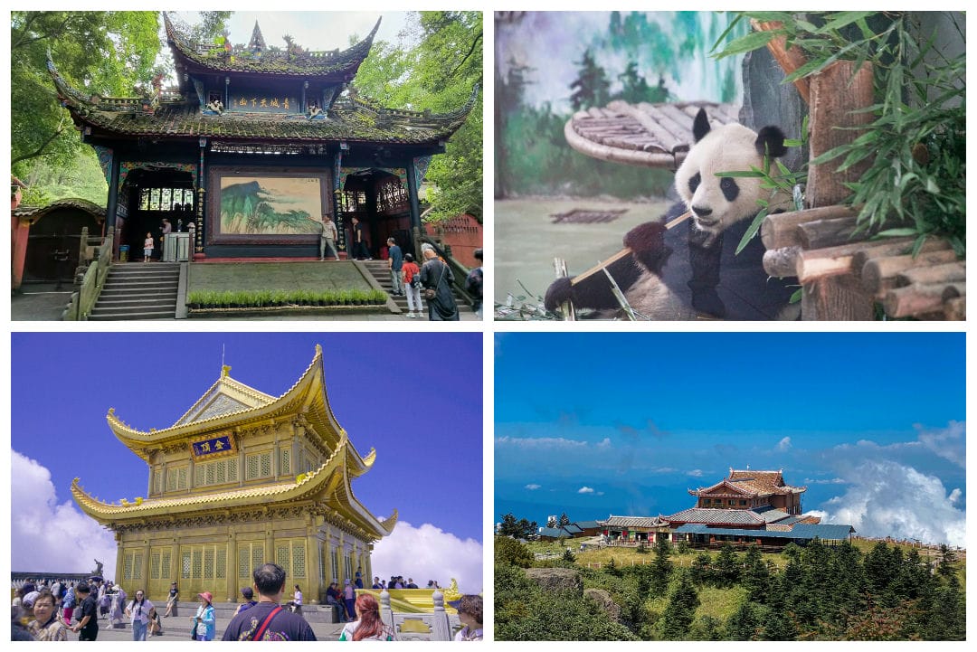 202309061825172502.jpg 202309061825172502.jpg