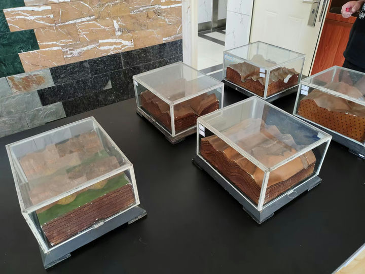 MP41岩石切片3.jpg MP41岩石切片3.jpg