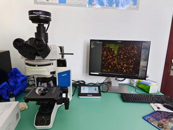 MJ43看岩石光片.jpg MJ43看岩石光片.jpg