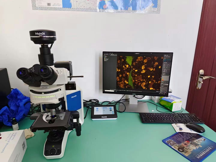 MJ43看岩石光片1.jpg MJ43看岩石光片1.jpg