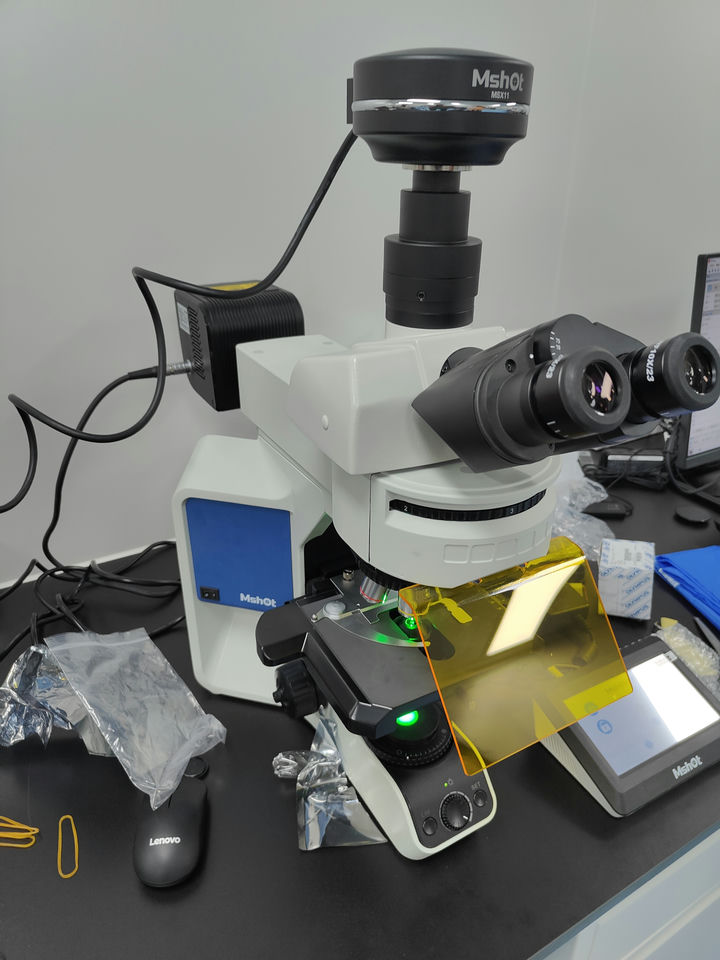 MF43-M和ML31-M聚诱导发光物质3.jpg MF43-M和ML31-M聚诱导发光物质3.jpg