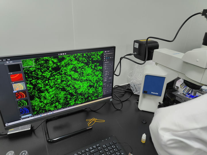 MF43-M和ML31-M聚诱导发光物质.jpg MF43-M和ML31-M聚诱导发光物质.jpg