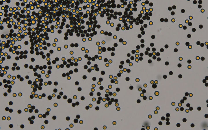 896e25bb7a06b2584f7ad74449e197bf-sz_1171224.jpg 896e25bb7a06b2584f7ad74449e197bf-sz_1171224.jpg