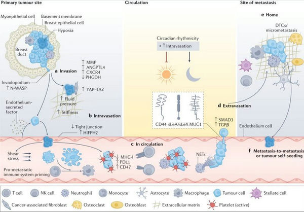 02_CTC.jpg 02_CTC.jpg