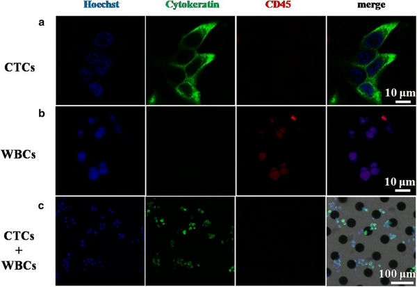 03_CTC.jpg 03_CTC.jpg