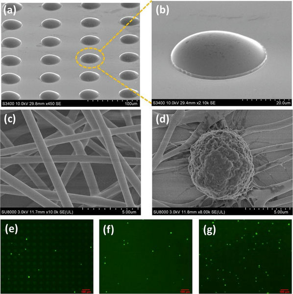 04_CTC.jpg 04_CTC.jpg