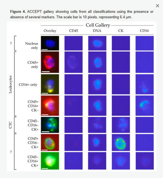 05_CTC.jpg 05_CTC.jpg