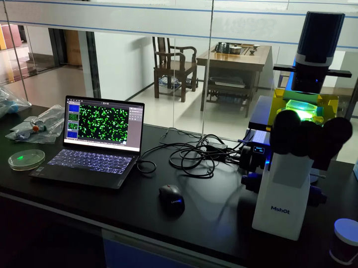 202309191545349874.jpg 202309191545349874.jpg