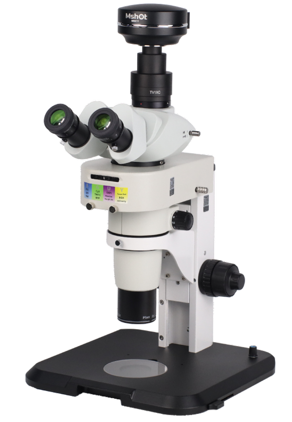 图片3.png 图片3.png