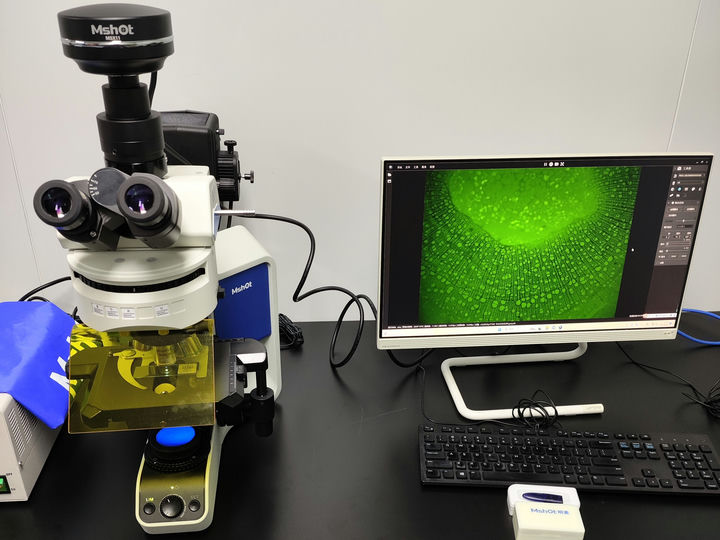 MF43-M+MSX11.jpg MF43-M+MSX11.jpg