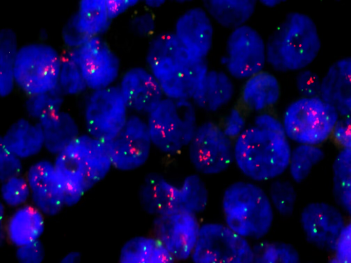 QQ图片20231019175511.png QQ图片20231019175511.png