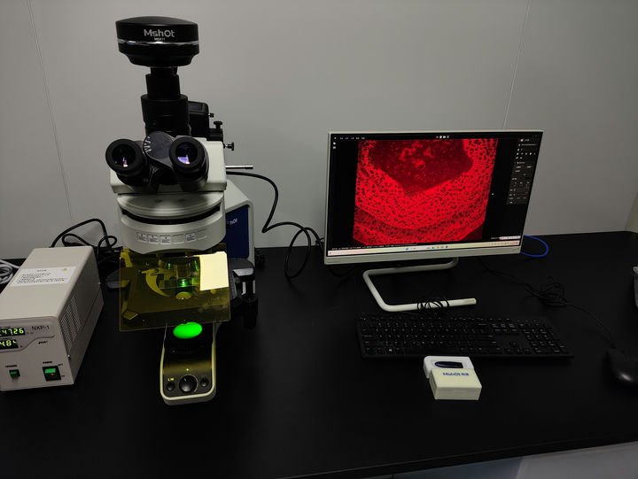 MF43-M+MSX11(3).jpg MF43-M+MSX11(3).jpg