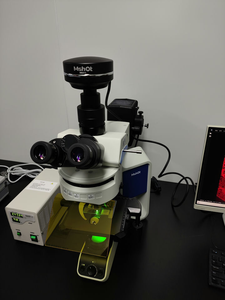 MF43-M+MSX11(2).jpg MF43-M+MSX11(2).jpg