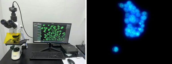 20231023095753.jpg 20231023095753.jpg