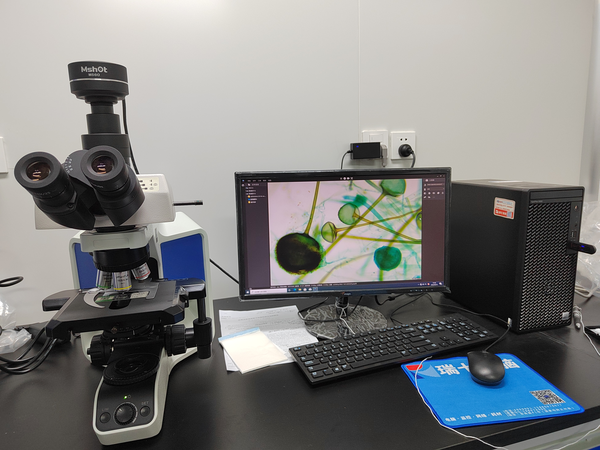 微信图片_20231007113212.png 微信图片_20231007113212.png