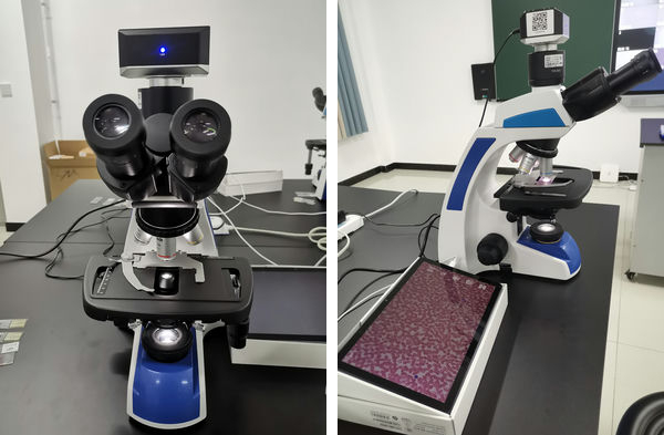 20231102194246.jpg 20231102194246.jpg