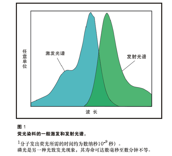 滤光片_8.png 滤光片_8.png