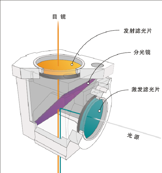 滤光片_10.png 滤光片_10.png