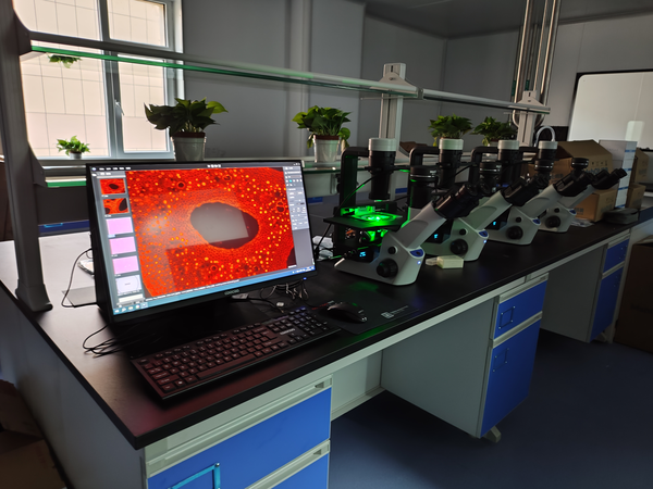 未知样品_MDX10_202310_CKX53 批量升级明美LED数显荧光和荧光成像系统 _5.png 未知样品_MDX10_202310_CKX53 批量升级明美LED数显荧光和荧光成像系统 _5.png