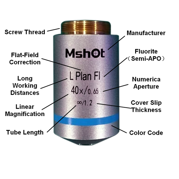 物镜4.png 物镜4.png