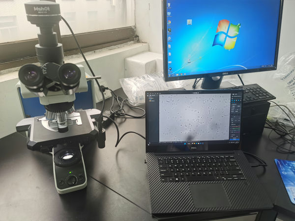 mmexport1696645679685.jpg mmexport1696645679685.jpg