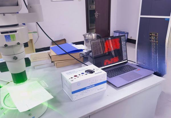 朱墨时序_ MZX100+MDX10_202311_应用领域_1.jpg