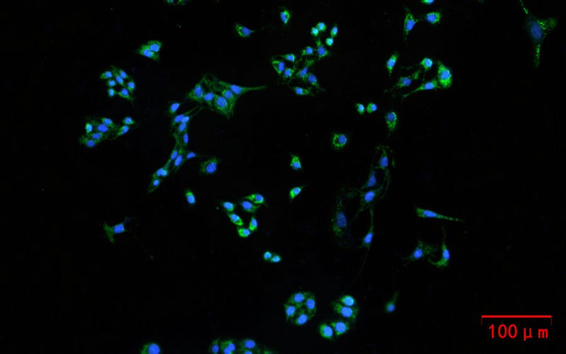 LightSource-06.jpg LightSource-06.jpg