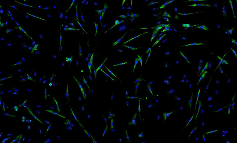 LightSource-22.jpg LightSource-22.jpg