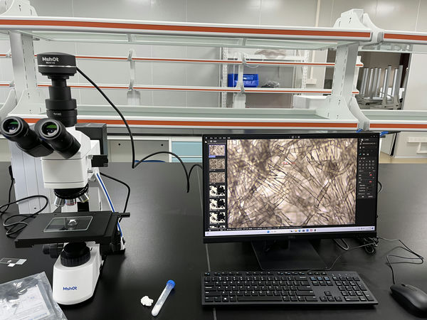 过滤滤纸_MJ31+MDX10_202311_滤纸纤维类材料_1.jpg 过滤滤纸_MJ31+MDX10_202311_滤纸纤维类材料_1.jpg
