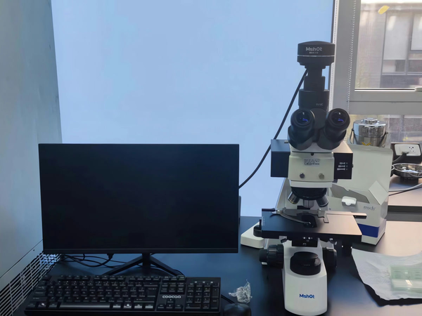 植物细胞核(DAPI染色)_MF31 +MDX 10_202311_用细胞计数板计数_3-2.png 植物细胞核(DAPI染色)_MF31 +MDX 10_202311_用细胞计数板计数_3-2.png