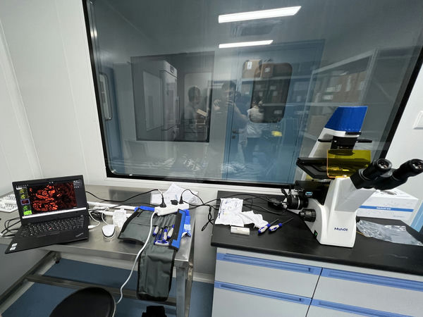 皮肤细胞玻片_MF52-N+MS23_202311_荧光细胞观察_7-1.jpg 皮肤细胞玻片_MF52-N+MS23_202311_荧光细胞观察_7-1.jpg