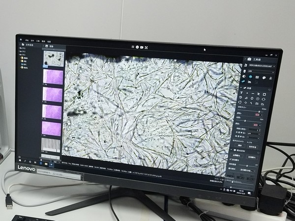 药材_ML31-P+MDX10_202312_ 药材成分检测_3.jpg