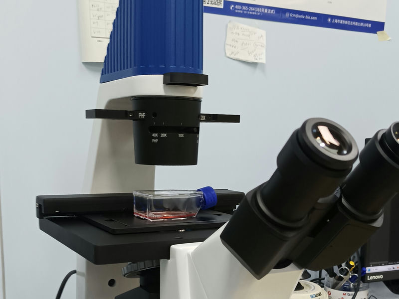 T细胞_MI52-N+MD60_202312_ 血液肿瘤科_3.jpg