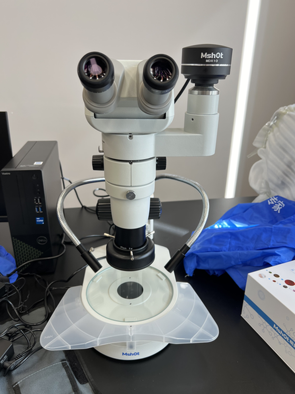 大块材料样品_MZX100明场+MDX10_202312_外观外形划痕初期筛选_1.png 大块材料样品_MZX100明场+MDX10_202312_外观外形划痕初期筛选_1.png