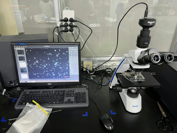 淀粉溶液_ ML31-P+MD50_202312_应用领域_2.png 淀粉溶液_ ML31-P+MD50_202312_应用领域_2.png