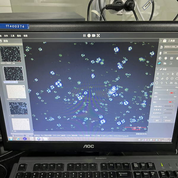 淀粉溶液_ ML31-P+MD50_202312_应用领域_1.png 淀粉溶液_ ML31-P+MD50_202312_应用领域_1.png