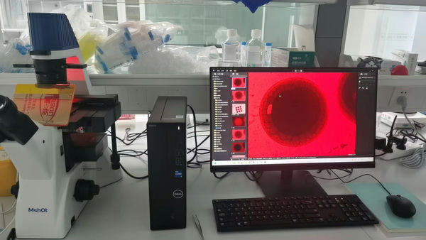 荧光生物芯片_MF52-N+MSX2_202312_生物制药_6.jpg 荧光生物芯片_MF52-N+MSX2_202312_生物制药_6.jpg