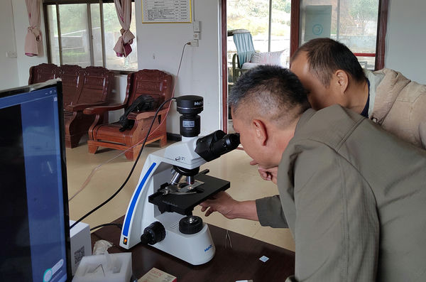 枯草杆菌_ ML31+MD60_202401_微生物教学_8.jpg