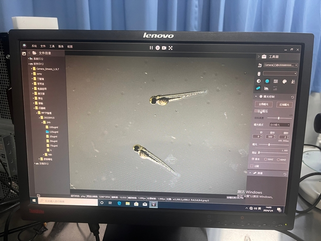 斑马鱼_MZX81+msx11_202402_应用领域_4.jpg 斑马鱼_MZX81+msx11_202402_应用领域_4.jpg