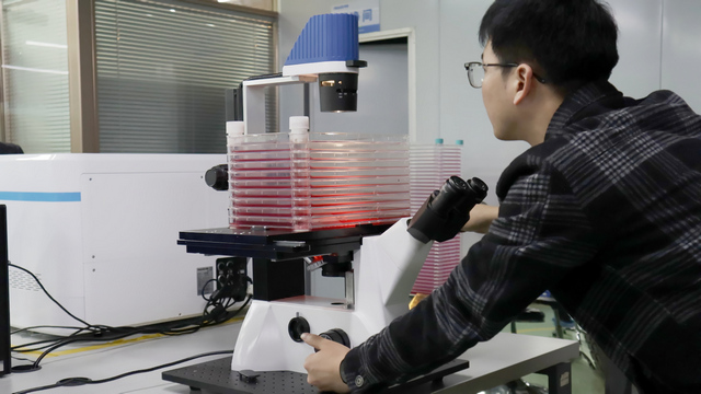 315.04.jpg 315.04.jpg