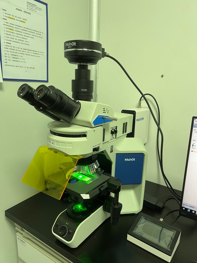 24.3.20.2.JPG 24.3.20.2.JPG