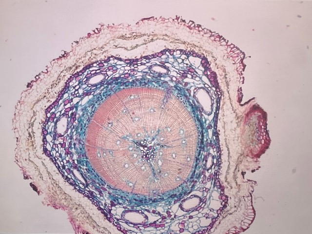 202404291345266346(1).jpg 202404291345266346(1).jpg