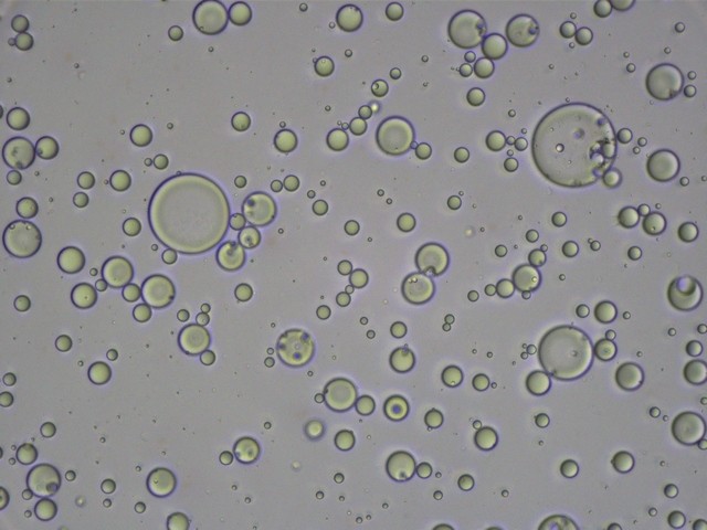 306(1).jpg 306(1).jpg