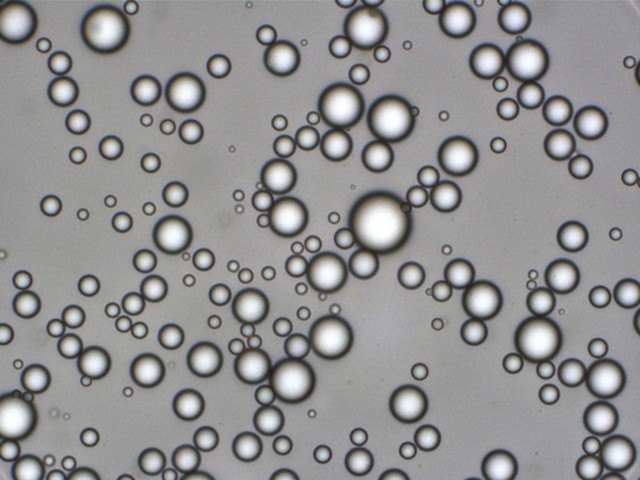 307(1).jpg 307(1).jpg