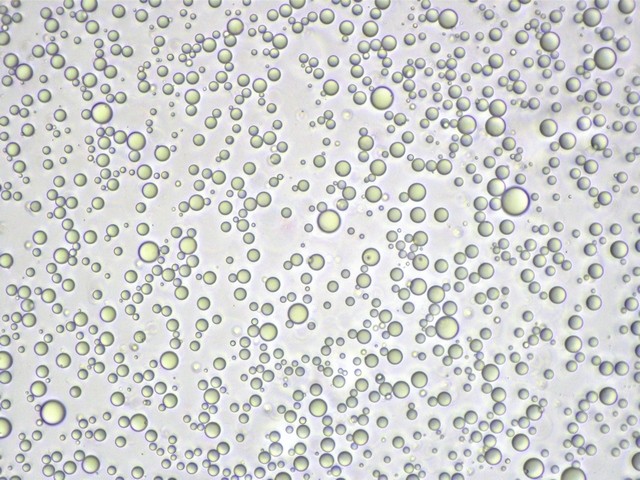 308(1).jpg 308(1).jpg